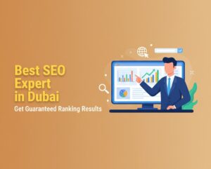 best-SEO-Expert-in-Dubai-with-result